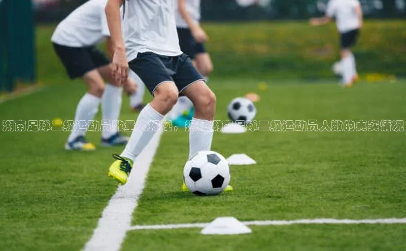 QY千亿球友体育天下秀湖南足球二级运动员数量大揭秘，揭秘湖南足球二级运动员人数的真实情况