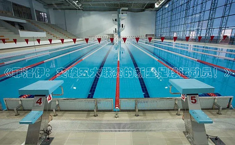 球友会app官方网站入口京东《菲洛伊：突破五大联赛的新星足球运动员！》