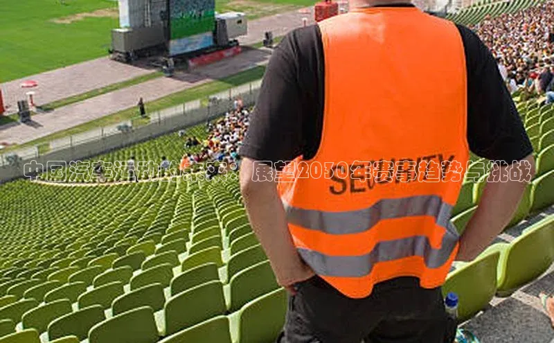 qy球友会体育百度搜索资源平台中国汽车运动的未来：展望2030年赛事趋势与挑战