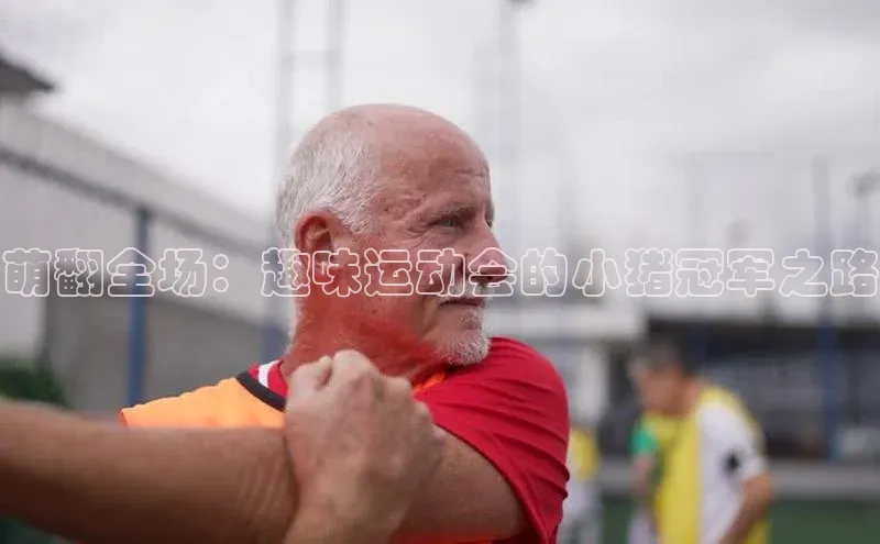 萌翻全场：趣味运动会的小猪冠军之路