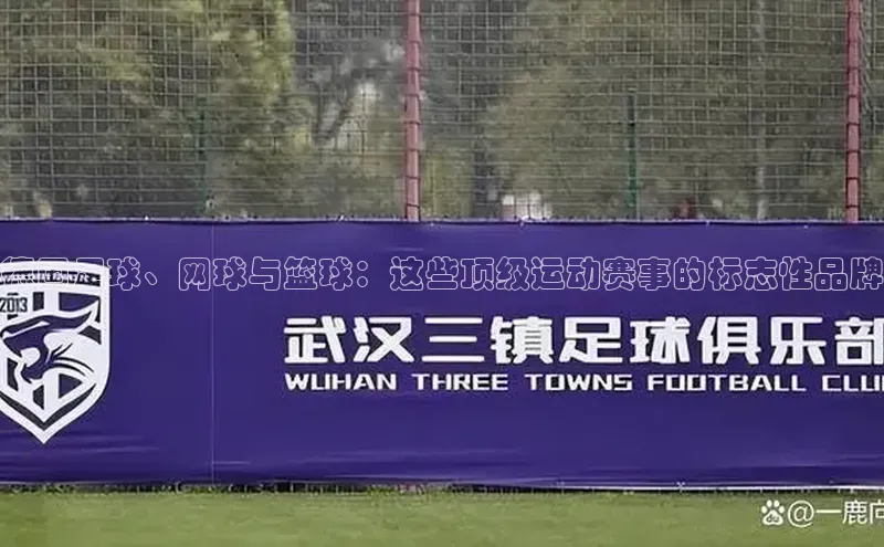 qy球友会网站登录入口