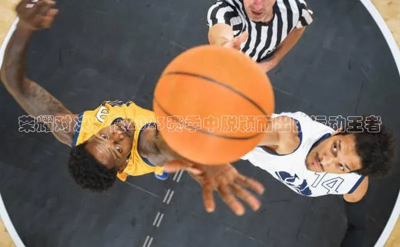 荣耀对决：在2023赛季中脱颖而出的运动王者