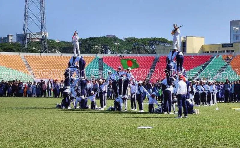 创新赛事营销策略：运动赛事策划岗位职责与任务分析