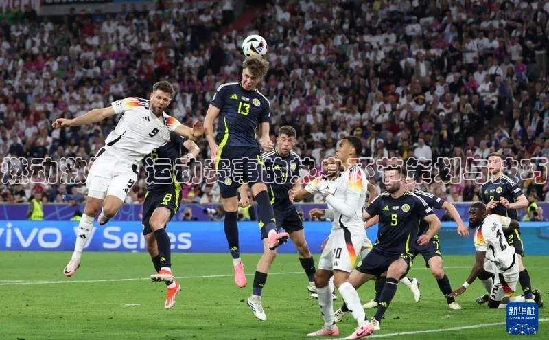 燃动激情：运动赛事的热身环节策划与技巧