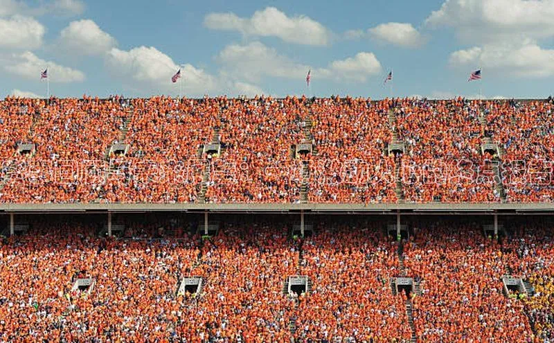 赛事回顾与未来展望：一场激动人心的终点报告