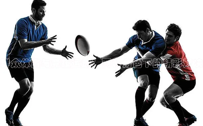 群众体育与竞技运动：两种角色下的精彩对决