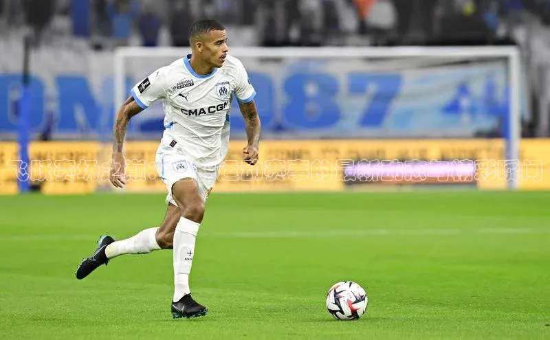 飞跃赛场之巅：信鸽运动赛事的最新动态与精彩瞬间