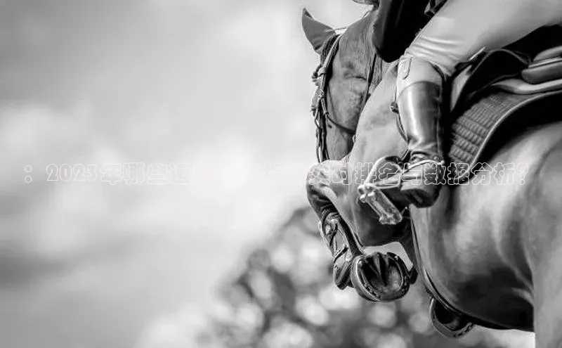 ：2023年哪些运动赛事提供实时排名与数据分析？