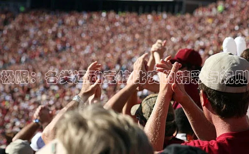 极限：各类运动竞技比赛的精彩与规则