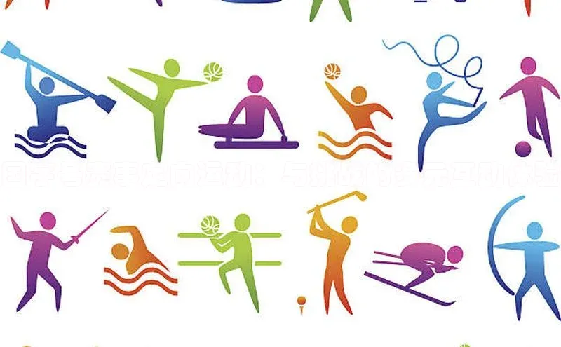 国字号赛事定向运动：与挑战的多元互动体验