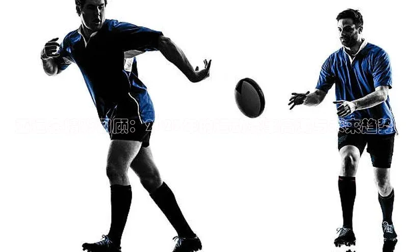 亚运会精彩回顾：2023年的运动赛事高潮与未来趋势