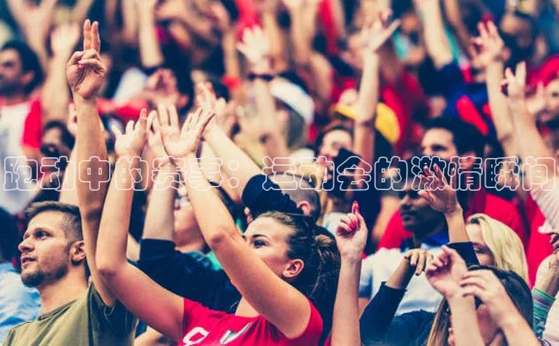 qy球友会app官网