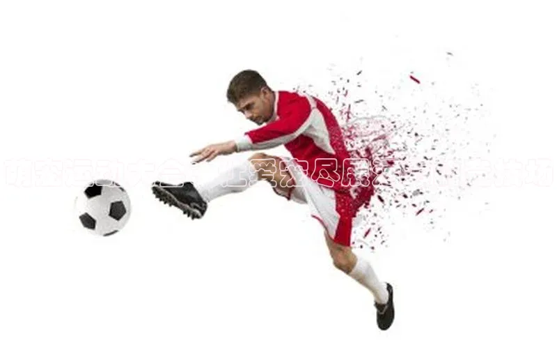 萌宠运动大会：让爱宠尽展活力的竞技场