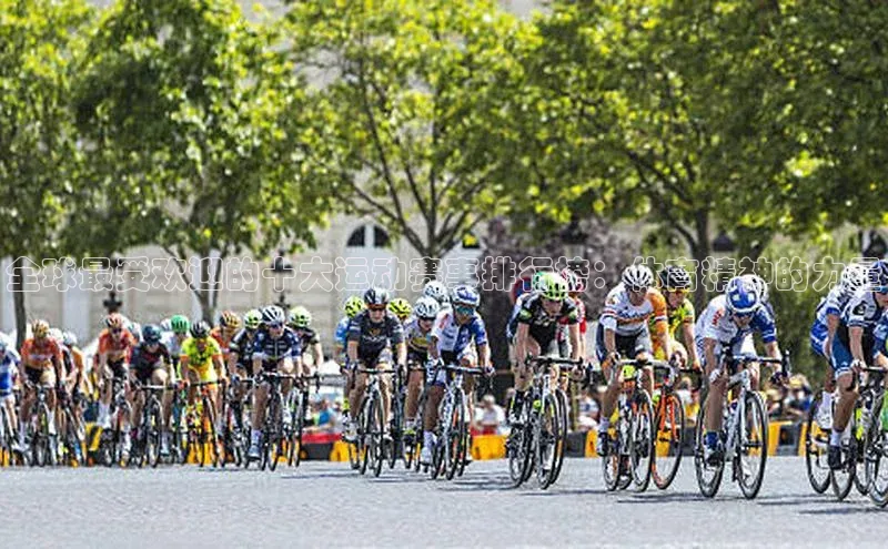 QY球友会体育网址