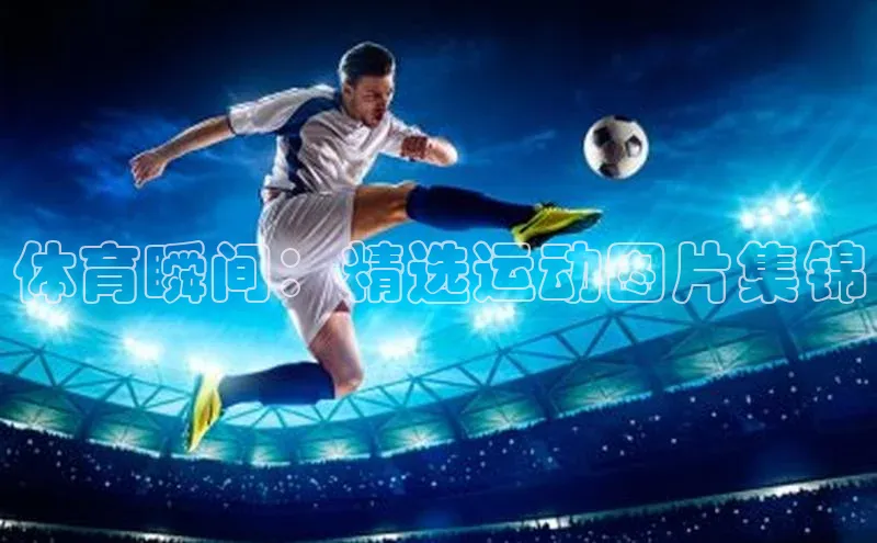 QY千亿球友会app